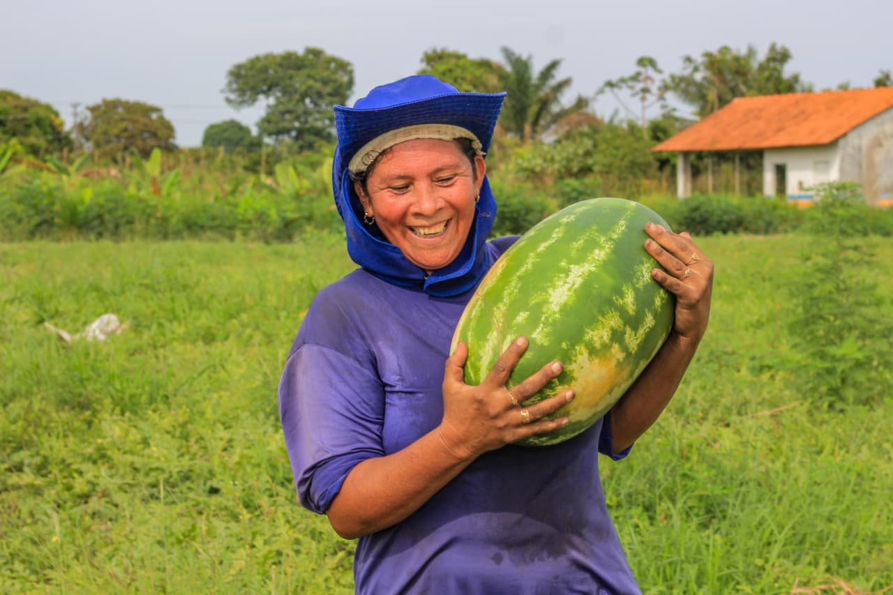 empreendedorismo:-mulheres-da-vila-amazonia-produzem-melancia-com-incentivos-da-prefeitura-de-parintins
